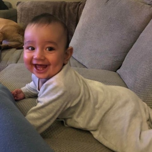 Meet your Posher, Ashlynni - Picture 1 of 1